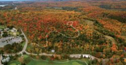 Treetops Townhomes by Club Leisure Corporation in Huntsville