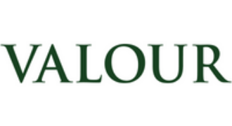 Valour Group