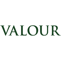 Valour Group