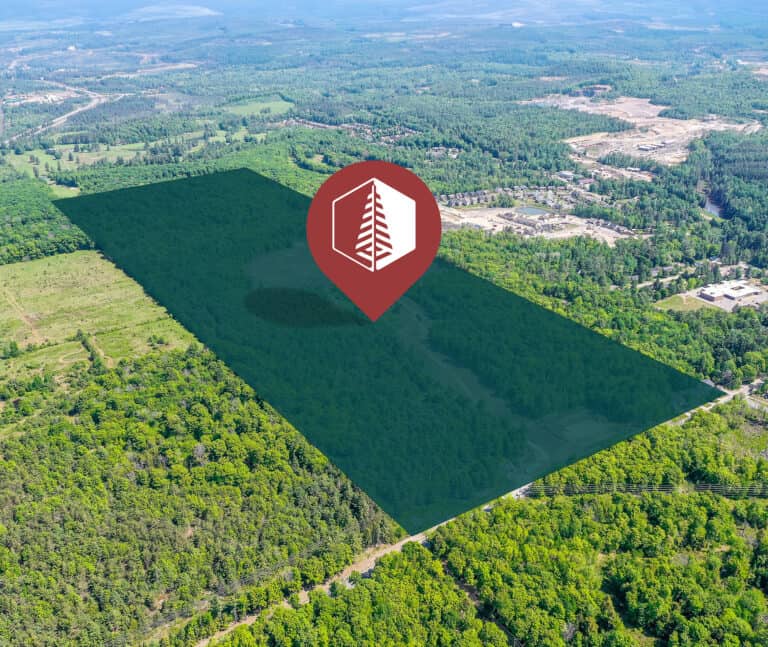 Muskoka Forest Huntsville – image 1