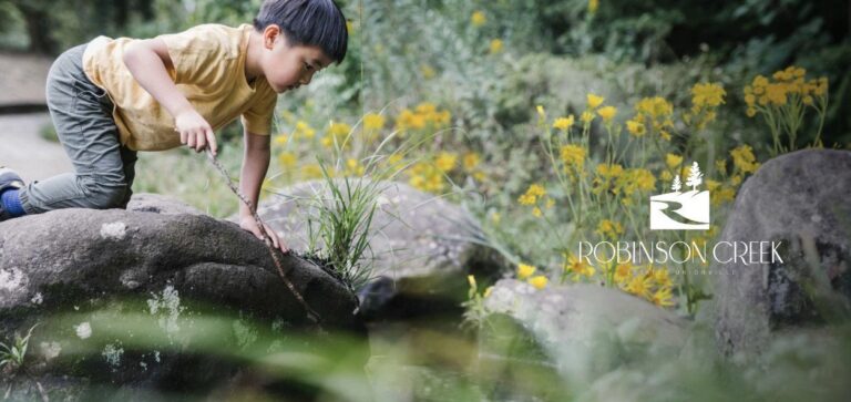 Robinson Creek by Castle Rock Developments in Markham