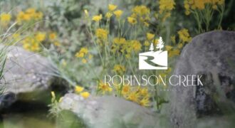 Robinson Creek by Castle Rock Developments in Markham