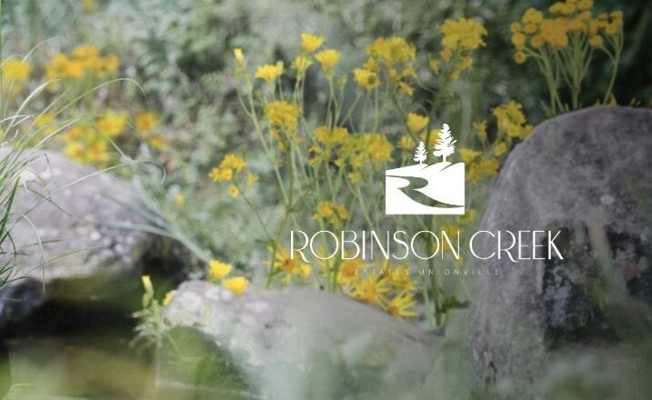 Robinson Creek by Castle Rock Developments in Markham