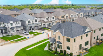 Bellaro at Palmetto by Treasure Hill Homes in Oshawa