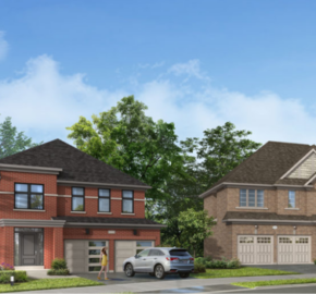 Homestead Meadows by Ballymore Homes in Keswick