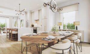 The Elms of Thornhill Woods Vaughan townhome feature view
