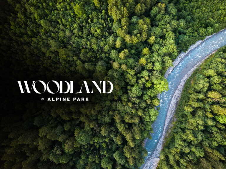 Woodland II